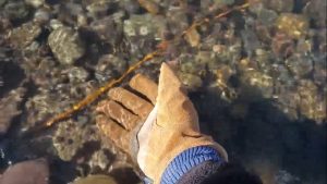mohawk water resistant work gloves