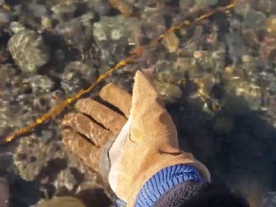 mohawk water resistant work gloves